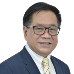Mr. Wilfredo A. Baltazar (Audit Leader at Navarro & Co – Deloitte Philippines)
