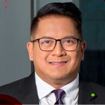 ENRIQUE VICTOR D. PAMPOLINA (Partner, Risk Advisory Asia Pacific and Philippines at Deloitte Philippines (Navarro Amper & Co.))